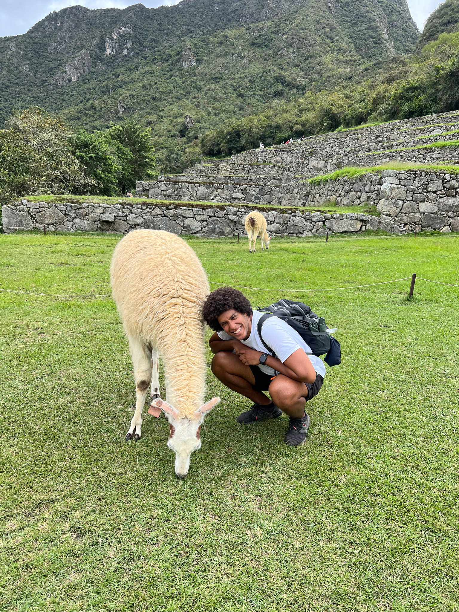 Machu Picchu Kelvyn smiling next to a llama eating grass