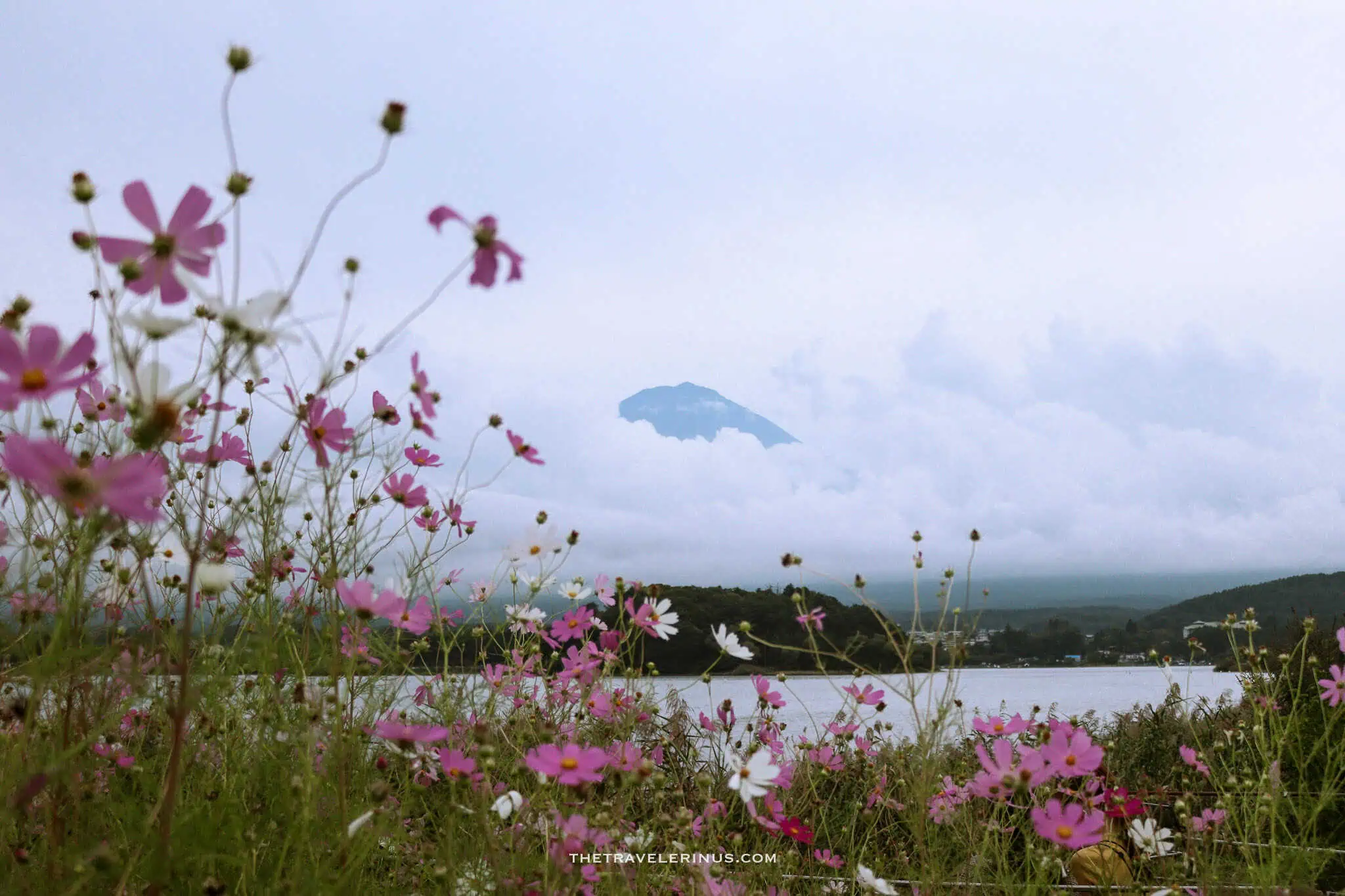 Japans most famous mountain, Mount Fuji.