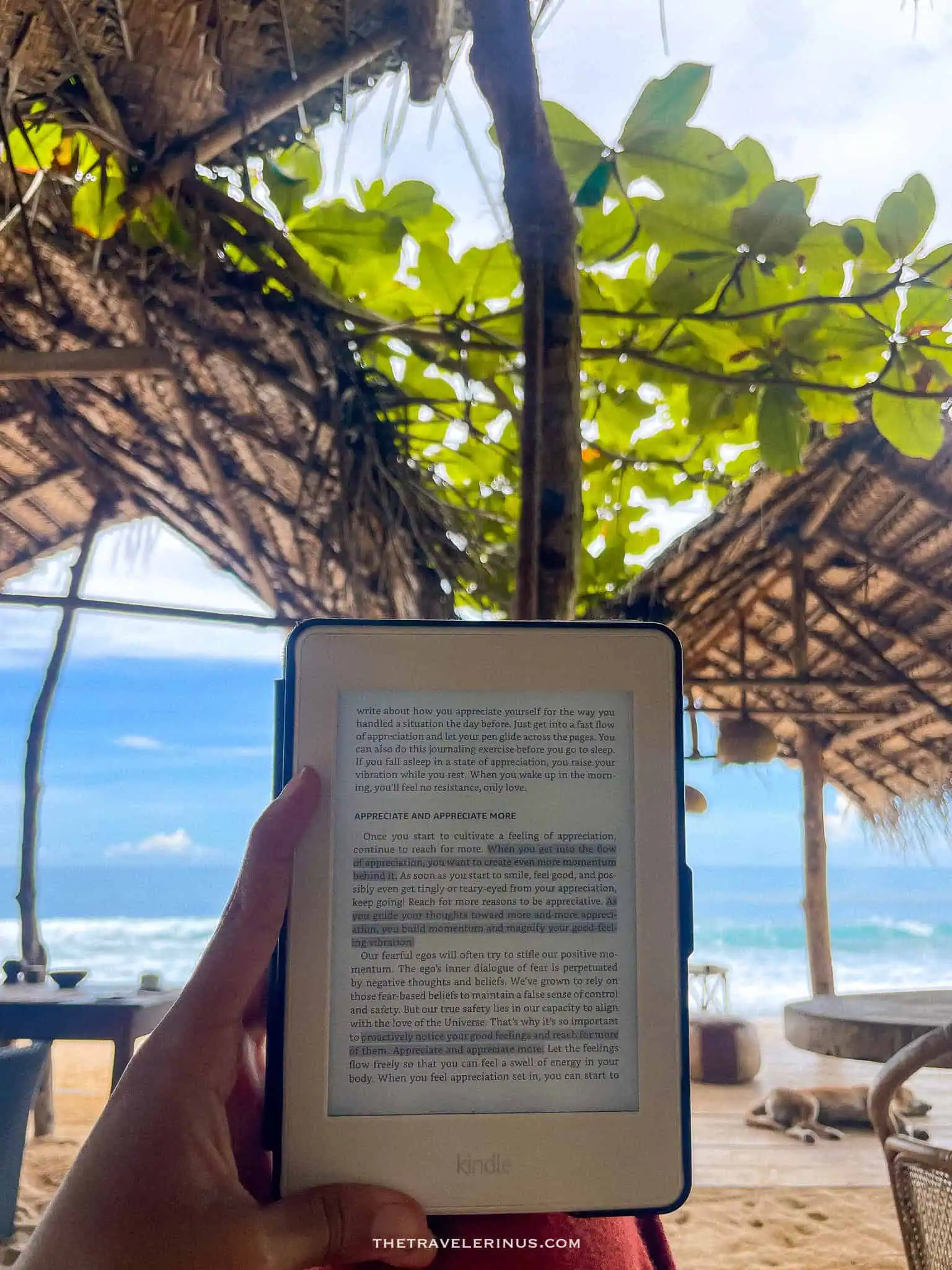 reading a book while relaxing 