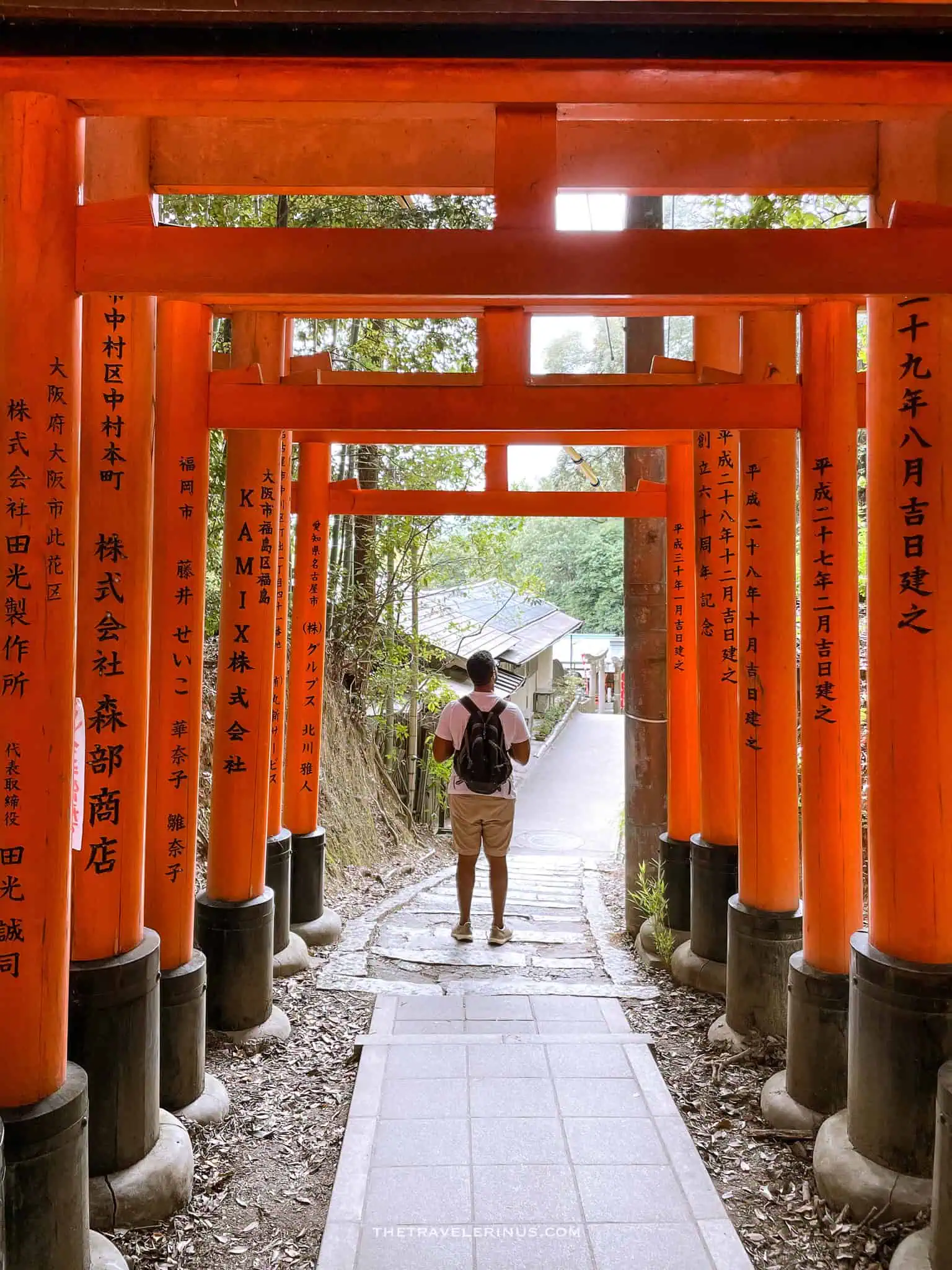 Torii gates in Kyoto 