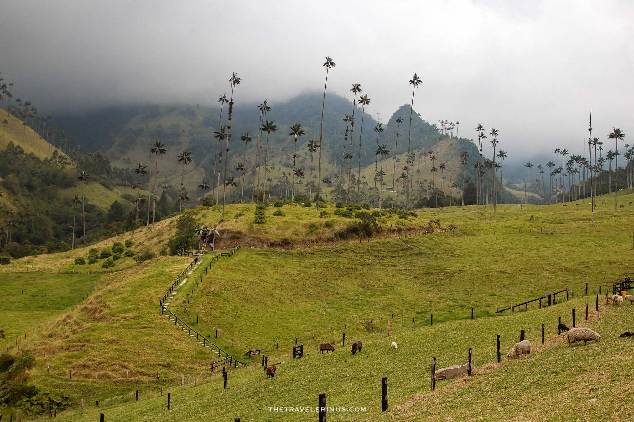 Salento, Colombia. 