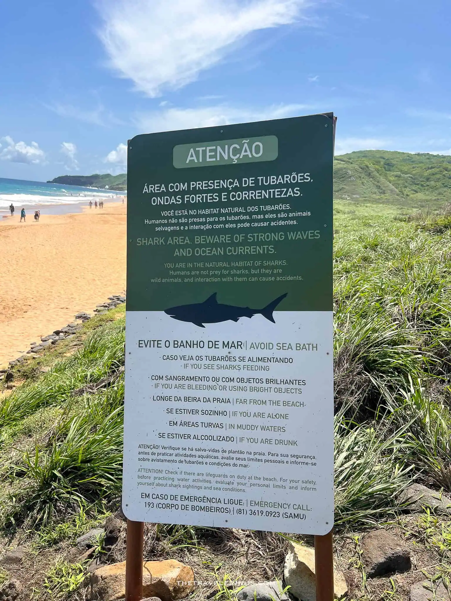 sign that says warning sharks in the water, Fernando de Noronha 