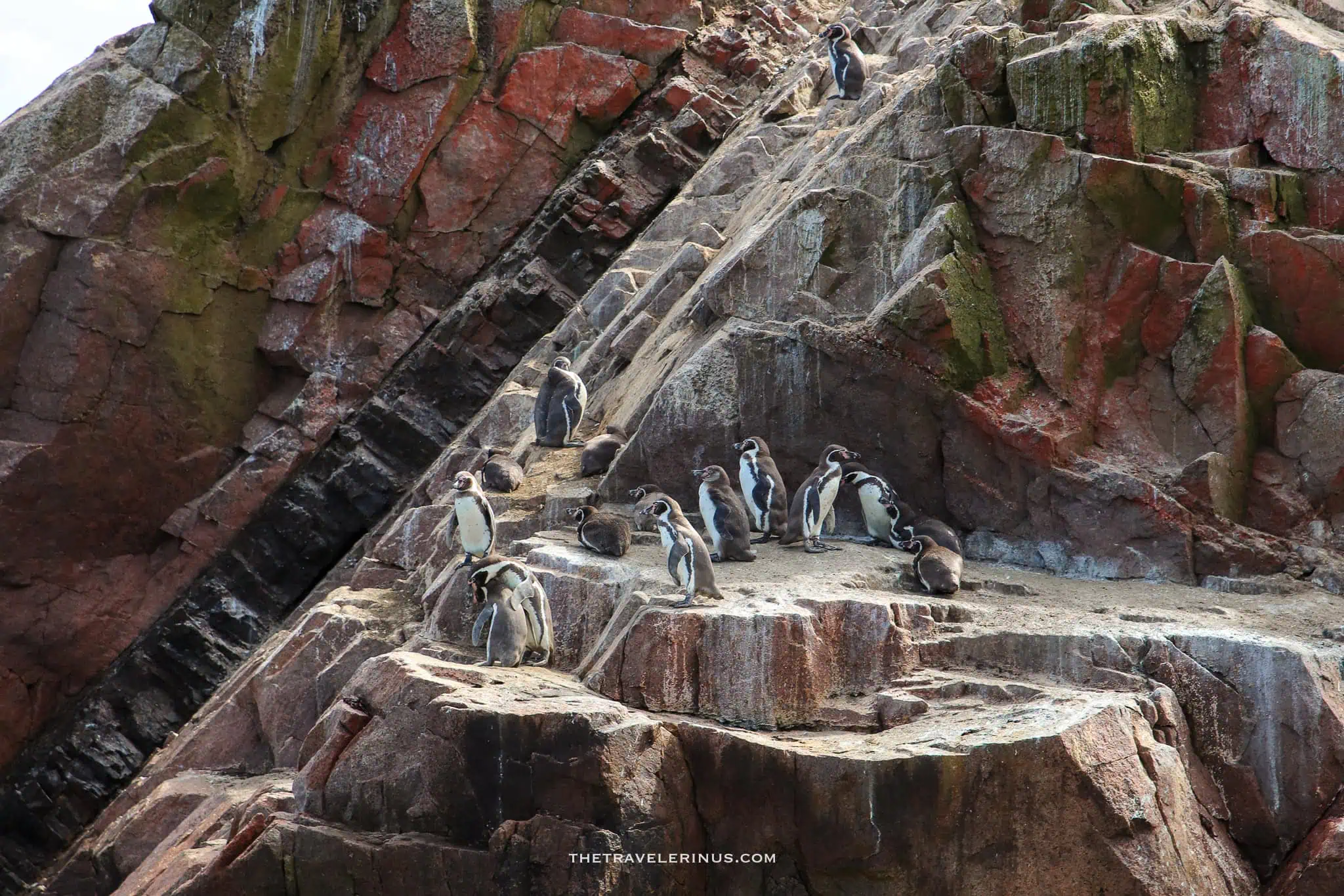 Isla ballestas paracas peru