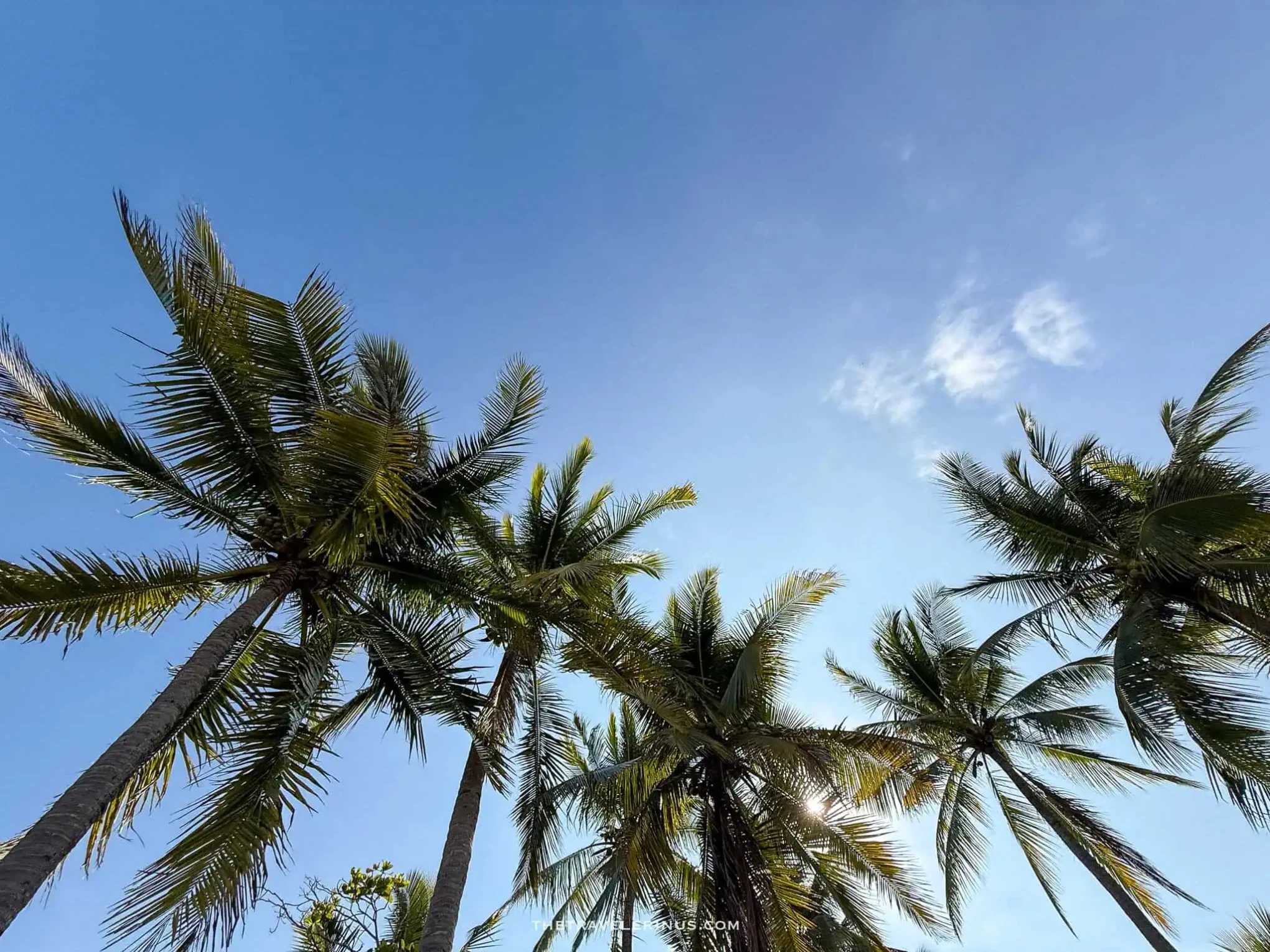 Pura vida costa rica